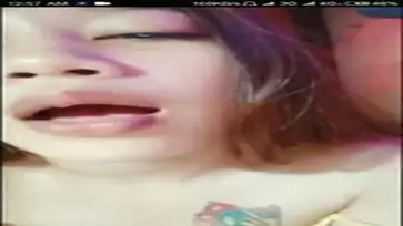 Dokumentasi Kupu Kupu Liar Cantik Live Kasur